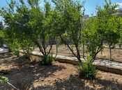 Продаётся 6-комн. дом/дача 300 м², пос. Зых, photo 4 from 8