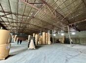 Сдаётся  объект 1 700 м², пос. Бинагади, photo 3 from 8