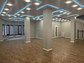 Satılır 5 otaqlı həyət evi/bağ evi 300 m², Badamdar q., photo 6 from 8