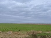 Объявление №5617259 - Геранбой, Геранбой, 16000 сот