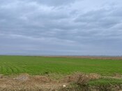 Продаётся  участок 16 000 сот, photo 5 from 8