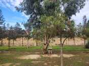 Продаётся  участок 7.5 сот, м. Азадлыг проспекти, photo 3 from 5