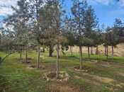 Продаётся  участок 7.5 сот, м. Азадлыг проспекти, photo 2 from 5