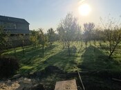 Elan №5622657 - Şamaxı, Şamaxı, 4 sot