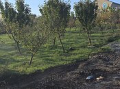 Satılır  torpaq 4 sot, photo 6 from 6