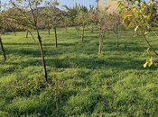 Satılır  torpaq 4 sot, photo 2 from 6