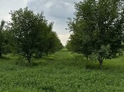 Satılır  torpaq 210 sot, photo 6 from 7