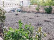 Satılır 5 otaqlı həyət evi/bağ evi 250 m², Qobu q., photo 4 from 8
