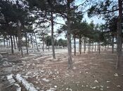 Продаётся  участок 144 сот, пос. Мардакан, photo 8 from 8