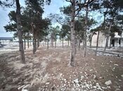 Продаётся  участок 144 сот, пос. Мардакан, photo 7 from 8