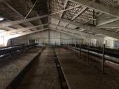 Объявление №5626033 - Баку, пос. Сарай, 60 м²