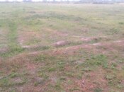 Elan №5627985 - Xaçmaz, Xaçmaz, 121 sot