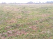 Satılır  torpaq 121 sot, Xaçmaz r., photo 2 from 5