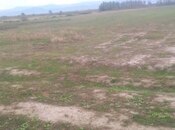 Satılır  torpaq 121 sot, Xaçmaz r., photo 3 from 5
