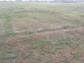 Satılır  torpaq 121 sot, Xaçmaz r., photo 4 from 5