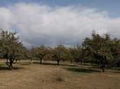 Продаётся  участок 38 сот, photo 2 from 8