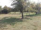 Elan №5628001 - İsmayıllı, İsmayıllı, 38 sot