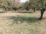 Продаётся  участок 38 сот, photo 3 from 8