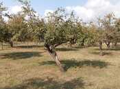 Продаётся  участок 38 сот, photo 7 from 8