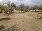 Продаётся  участок 38 сот, photo 6 from 8