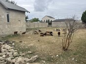Torpaq - Şüvəlan q. - 12 sot