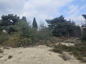 Elan №5635707 - Bakı, Bilgəh q., 12 sot