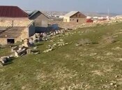 Объявление №5640562 - Баку, пос. Атъялы, 10 сот