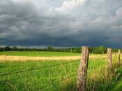 Satılır  torpaq 1 000 sot, photo 1 from 1