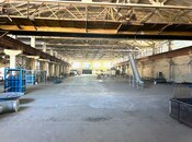 Сдаётся  объект 3 740 м², пос. Забрат, photo 8 from 8