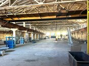 Объявление №5644840 - Баку, пос. Забрат, 3740 м²