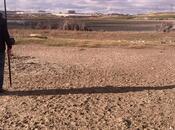 Объявление №5644937 - Баку, пос. Бинагади, 2000 сот