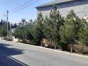 Продаётся  участок 5 сот, пос. Бадамдар, photo 8 from 8