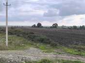 Продаётся  участок 500 сот, photo 4 from 8