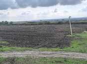 Продаётся  участок 500 сот, photo 2 from 8