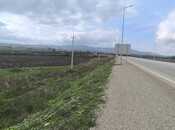 Elan №5646103 - Şabran, Şabran, 500 sot