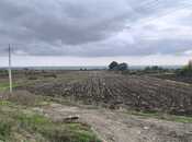 Продаётся  участок 500 сот, photo 6 from 8