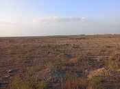 Satılır  torpaq 300 sot, photo 4 from 4