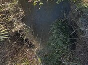 Продаётся  участок 600 сот, photo 5 from 5