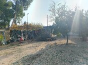 Satılır  torpaq 10 sot, Görədil q., photo 2 from 4