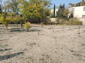 Elan №5649548 - Bakı, Görədil q., 10 sot