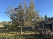 Продаётся  участок 22 сот, photo 6 from 8