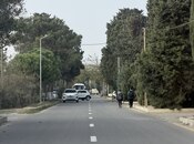 Продаётся  участок 16 сот, пос. Шувеляны, photo 3 from 8