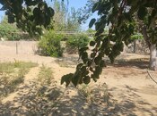 Объявление №5651404 - Баку, пос. Горадил, 2 сот