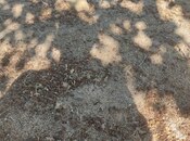 Продаётся  участок 2 сот, пос. Горадил, photo 4 from 4