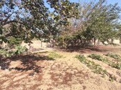 Продаётся  участок 2 сот, пос. Горадил, photo 3 from 6