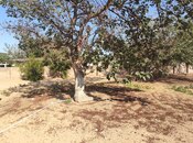 Продаётся  участок 2 сот, пос. Горадил, photo 2 from 6