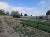 Продаётся  участок 25 сот, пос. Бильгях, photo 1 from 4