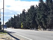 Satılır  torpaq 70 sot, Şüvəlan q., photo 5 from 8