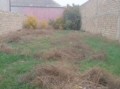 Объявление №5655083 - Баку, пос. Ени Романы, 3 сот