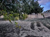 Объявление №5655506 - Баку, пос. Гюздек, 4 сот